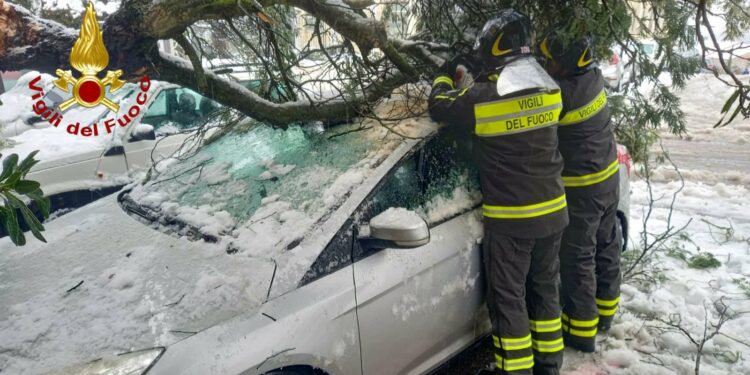 Maltempo nella zona di Tempio Pausania: diversi gli interventi dei vigili del fuoco