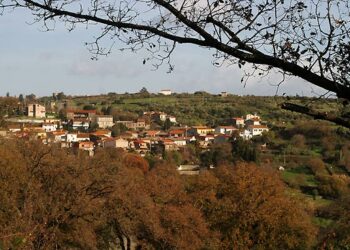 Domani 28 gennaio, il Centro di Aggregazione Sociale di Boroneddu, ospiterà l’iniziativa “Incontri conoscitivi” con Cittadini del Mondo OdV