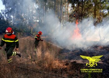 Il Nucleo Investigativo dell’Ispettorato Forestale di Cagliari ha sottoposto agli arresti domiciliari due persone di Segariu e San Gavino, ritenute responsabili di due incendi dolosi