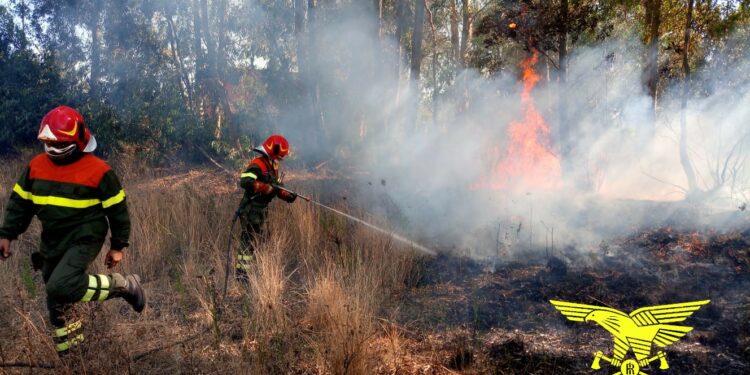 Il Nucleo Investigativo dell’Ispettorato Forestale di Cagliari ha sottoposto agli arresti domiciliari due persone di Segariu e San Gavino, ritenute responsabili di due incendi dolosi