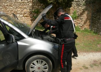 Un ventenne di Capoterra è stato denunciato a piede libero dai carabinieri per porto abusivo di armi