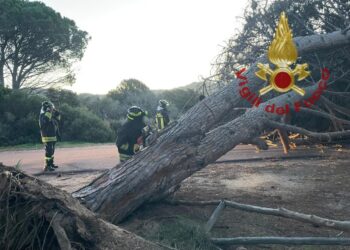 Forte vento nel Nord Sardegna: diversi gli interventi dei vigili del fuoco