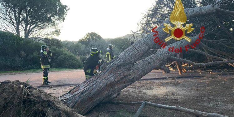 Forte vento nel Nord Sardegna: diversi gli interventi dei vigili del fuoco