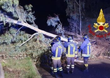 Serdiana e Villasimius: cadono alberi nella sede stradale, intervengono i vigili del fuoco