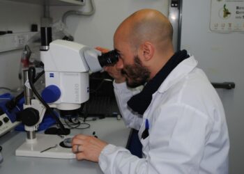 Cagliari: dopo 19 anni i semi conservati nel Germoplasma generano nuove piante