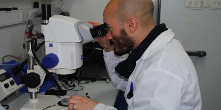 Cagliari: dopo 19 anni i semi conservati nel Germoplasma generano nuove piante