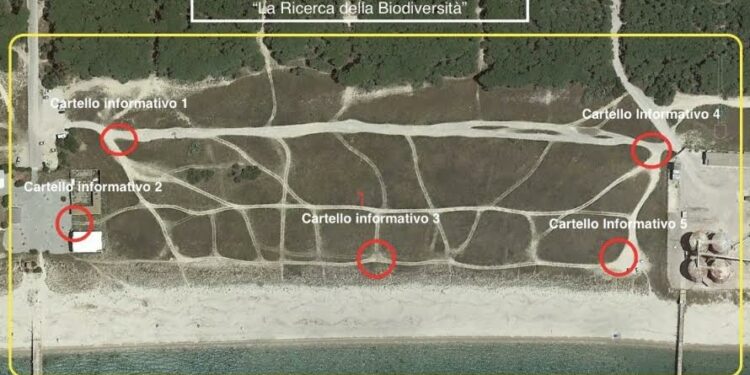 Torre Grande: al via il progetto di educazione ambientale “La ricerca della Biodiversità”