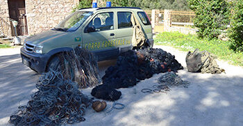 Il Nucleo investigativo e le stazioni forestali di Sanluri, Villacidro e Guspini hanno denunciato tre persone con l’accusa di bracconaggio