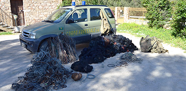 Il Nucleo investigativo e le stazioni forestali di Sanluri, Villacidro e Guspini hanno denunciato tre persone con l’accusa di bracconaggio