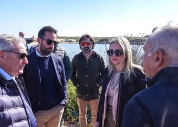 Gli assessori Satta e Porcu a Muravera: «Il dragaggio per aprire la foce ed eventuale modifica del molo per una migliore produttività della laguna»