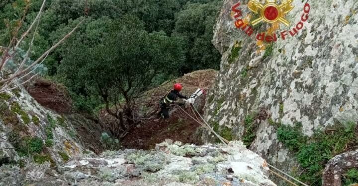 Tergu: capra cade in un dirupo, salvata dai vigili del fuoco