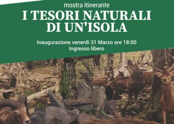 Oristano: al teatro San Martino la mostra itinerante “Sardegna foreste, i tesori naturali di un’isola”