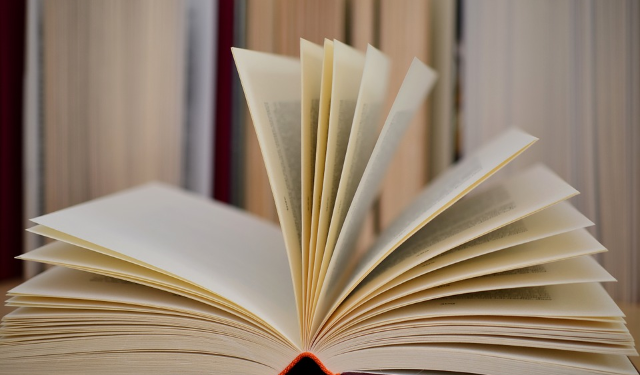 Ad Olbia l’iniziativa “Impara l’inglese al museo”