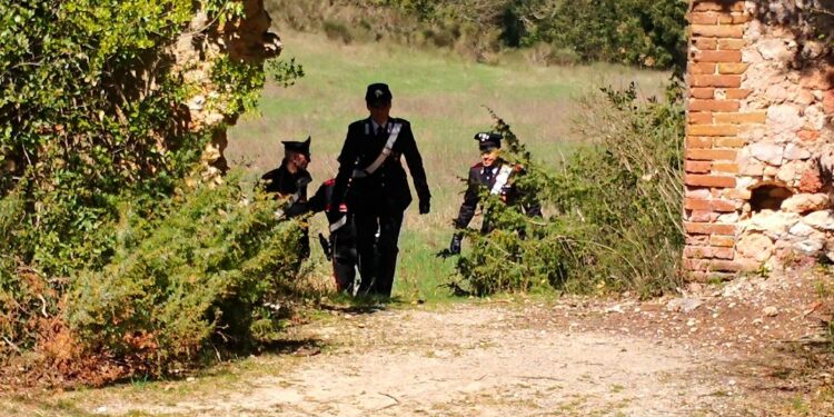 Un 56enne allevatore ed una 39enne allevatrice, sono stati denunciati a piede libero dai carabinieri di Barumini, per ricettazione in concorso