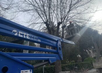 Alghero: proseguono i lavori nelle aree verdi cittadine