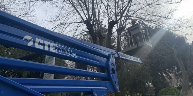 Alghero: proseguono i lavori nelle aree verdi cittadine