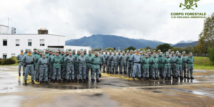 78 allievi agenti, fino al prossimo 31 maggio, saranno impegnati in attività didattiche e sul campo nell’ambito del 1° Corso Allievi Agenti Forestali della Sardegna