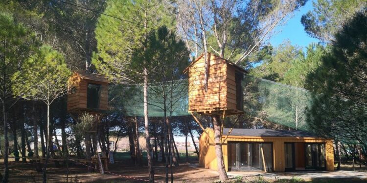 Nurachi: via libera alla procedura per l’affidamento in gestione del Parco Avventura