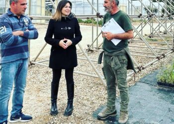 L’assessore regionale dell’Industria Anita Pili ha visitato la sede di Forestas a Campulongu