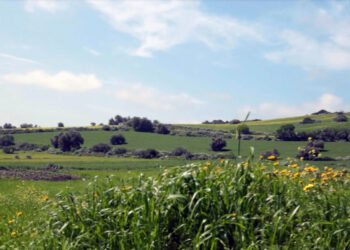 A Curcuris un incontro sui semi e le piante