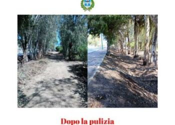 Orosei: oltre 61mila euro per la pulizia delle aree verdi a Sos Alinos