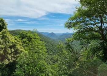 Domenica 16 aprile, nella Barbagia di Bitti, la prima giornata della rassegna Foreste Aperte 2023