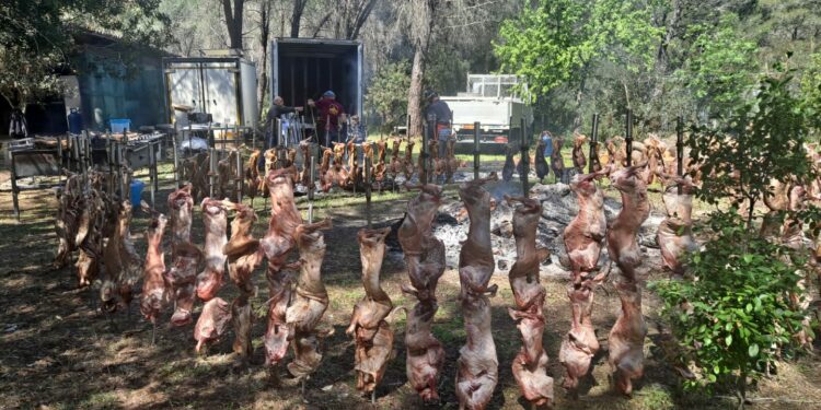 Bidonì: 850 commensali hanno degustato l’agnello di Sardegna Igp