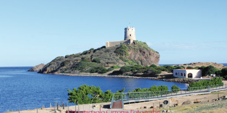Pula: nella Laguna di Nora una giornata formativa per la conservazione della fauna marina
