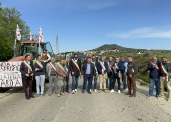 Coldiretti Sardegna insieme alla Marmilla per dire “NO” al parco eolico vicino al sito Unesco di Su Nuraxi