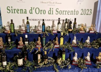 Coldiretti Nord Sardegna: «Olio extravergine sardo sempre più apprezzato da consumatori e mercati»