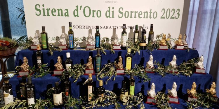 Coldiretti Nord Sardegna: «Olio extravergine sardo sempre più apprezzato da consumatori e mercati»