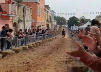 Si è chiusa con un successo, a Sorso, la prima edizione della Corsa alla Stella