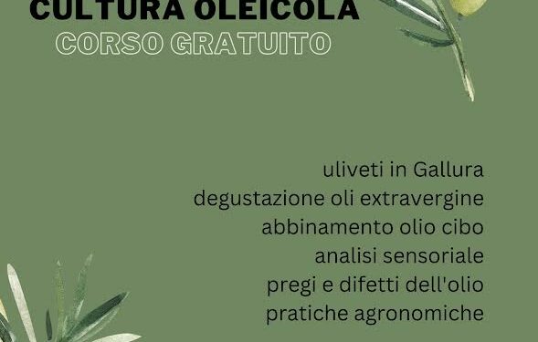 Arzachena: un corso sulla cultura oleicola