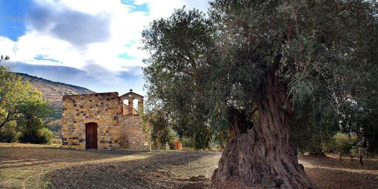 Genuri: il programma di Monumenti aperti 2023