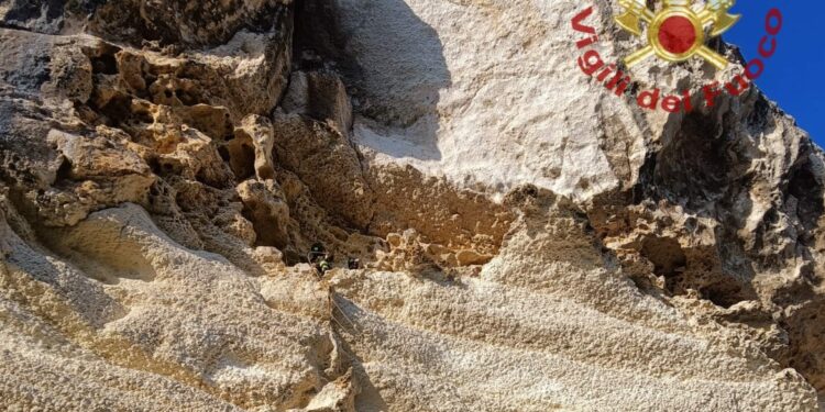 Laerru: due capre bloccate a Sa Rocca Manna, salvate dai vigili del fuoco