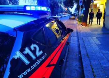I carabinieri dfi Cagliari ieri sera hanno arrestato un 50enne per tentato furto aggravato