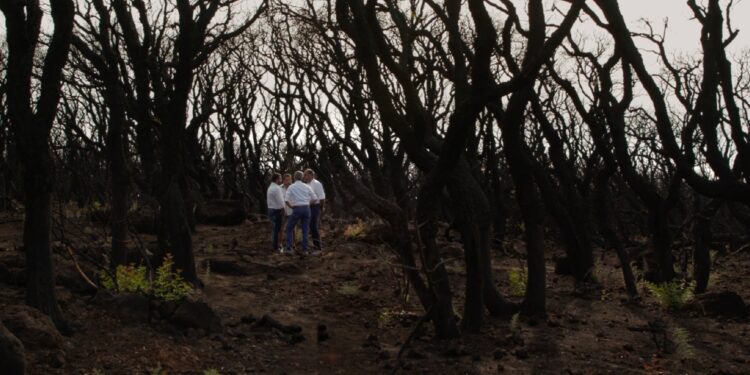 Al Trento Film Festival il film “L’Ombra del Fuoco – S’umbra ‘e su fogu” di Enrico Pau