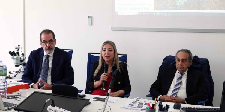 Noragugume: l’assessora regionale dell’Agricoltura Valeria Satta ha incontrato gli scienziati della Fao