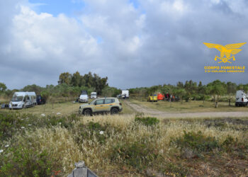 Nove sanzioni amministrative per campeggio abusivo sono state comminate dai forestali in un’area interna a un’azienda agricola nel litorale di San Giovanni Suergiu