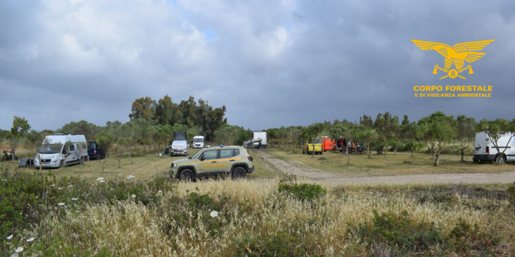 Nove sanzioni amministrative per campeggio abusivo sono state comminate dai forestali in un’area interna a un’azienda agricola nel litorale di San Giovanni Suergiu