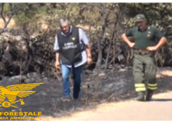 Arrestata una persona per l’incendio del 28 luglio 2022 ad Asuni