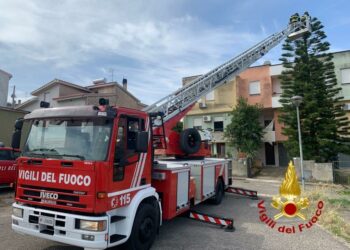 Scano Montiferro: i vigili del fuoco mettono in sicurezza una pianta pericolante