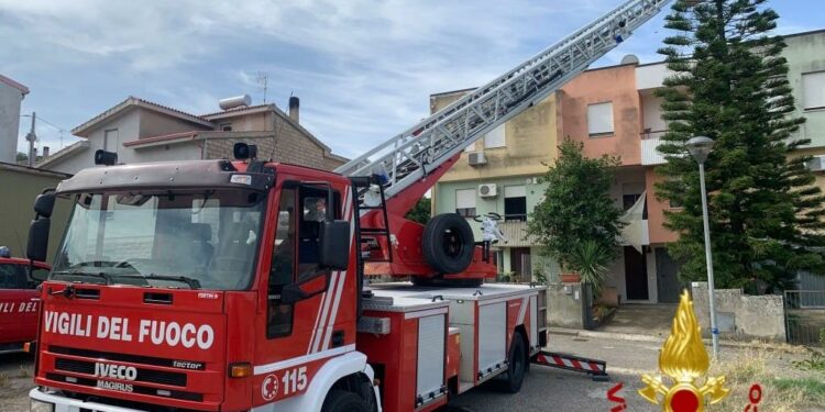 Scano Montiferro: i vigili del fuoco mettono in sicurezza una pianta pericolante