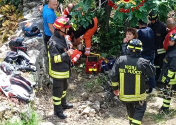 Un motociclista di nazioinalità tedesca è finito fuori strada sulla SS 129, finendo su un albero sette metri sotto la sede stradale che ne ha attutito l’impatto