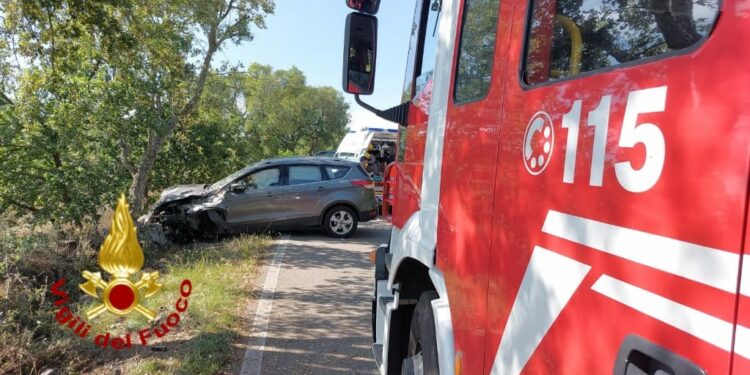 Incidente stradale sulla statale 388, sul posto i vigili del fuoco