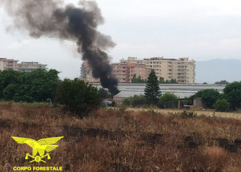 Due denunce per smaltimento illecito di rifiuti a Uta e Sestu