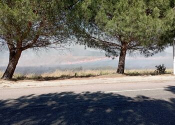 Oggi tre degli otto incendi sviluppatisi sul territorio regionale hanno richiesto l’intervento dei mezzi aerei del Corpo forestale