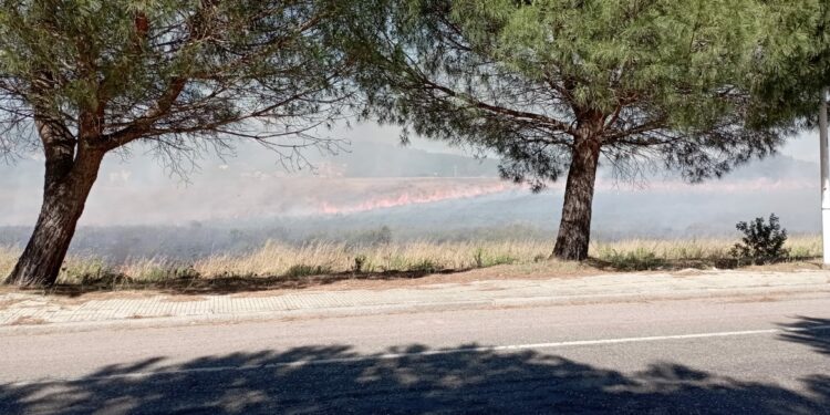 Oggi tre degli otto incendi sviluppatisi sul territorio regionale hanno richiesto l’intervento dei mezzi aerei del Corpo forestale