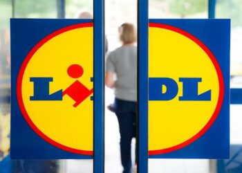 Lidl assume oltre 450 diplomati e laureati. La multinazionale cerca Addetti Vendita e Responsabili Negozio