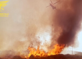 Incendio in località “Corti De Stadi” a Quartu Sant’Elena, sul posto anche un mezzo aereo del Corpo forestale